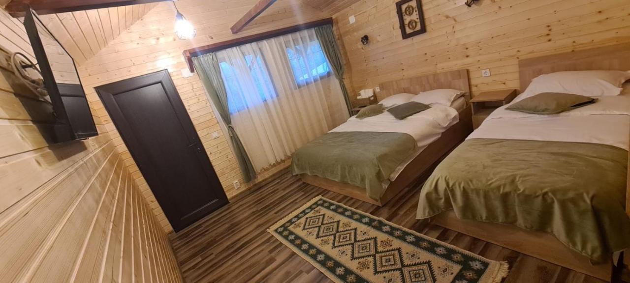 Curtea de Argeş Baltina Parc Transfagarasanヴィラ エクステリア 写真