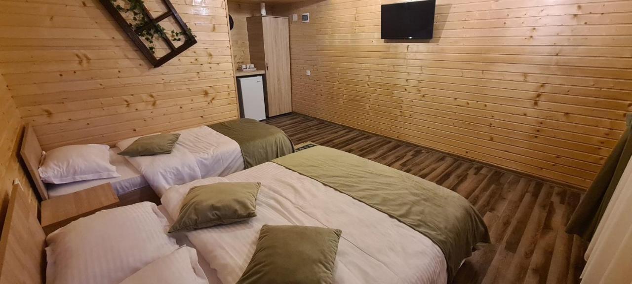 Curtea de Argeş Baltina Parc Transfagarasanヴィラ エクステリア 写真