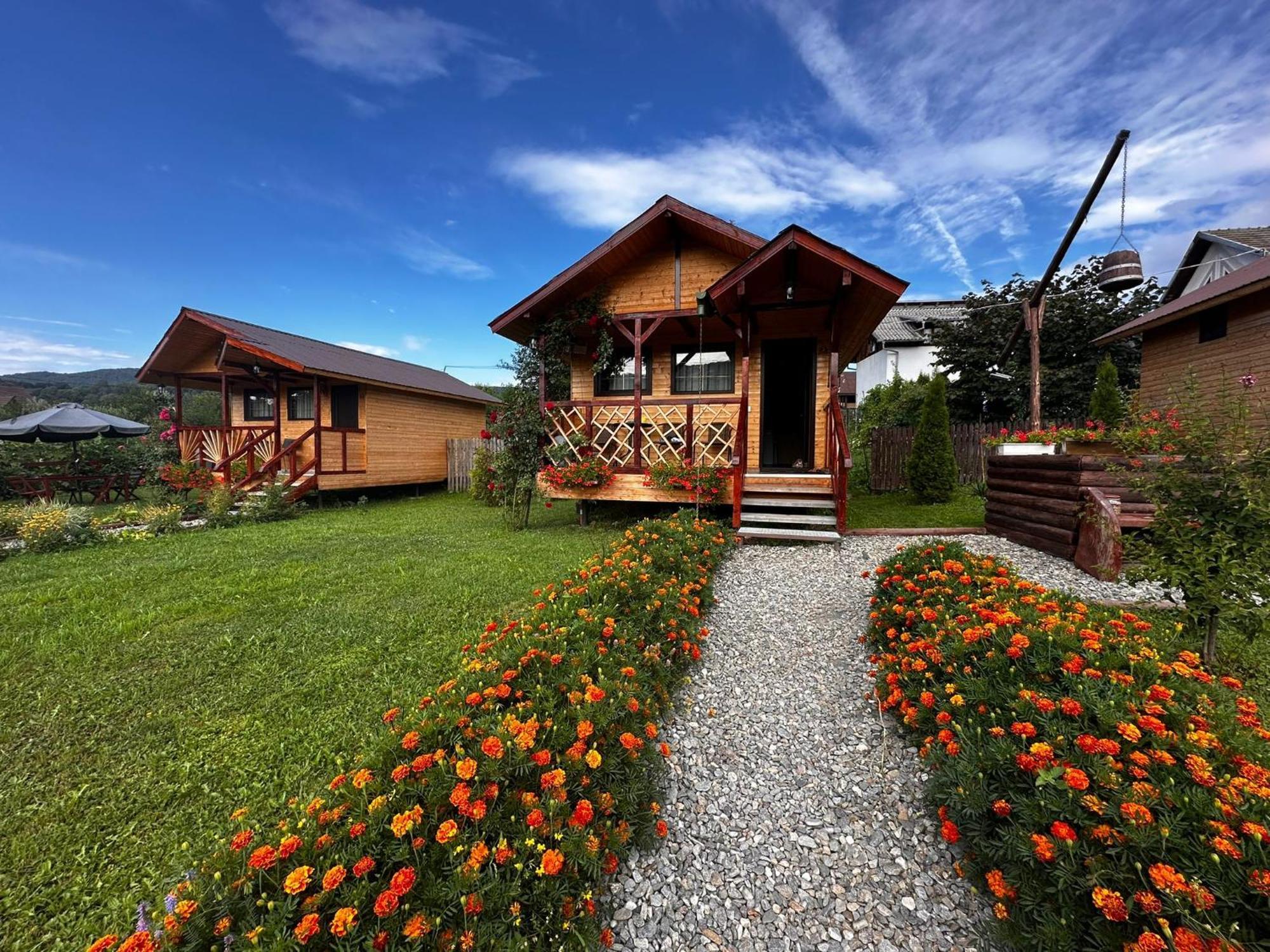 Curtea de Argeş Baltina Parc Transfagarasanヴィラ エクステリア 写真