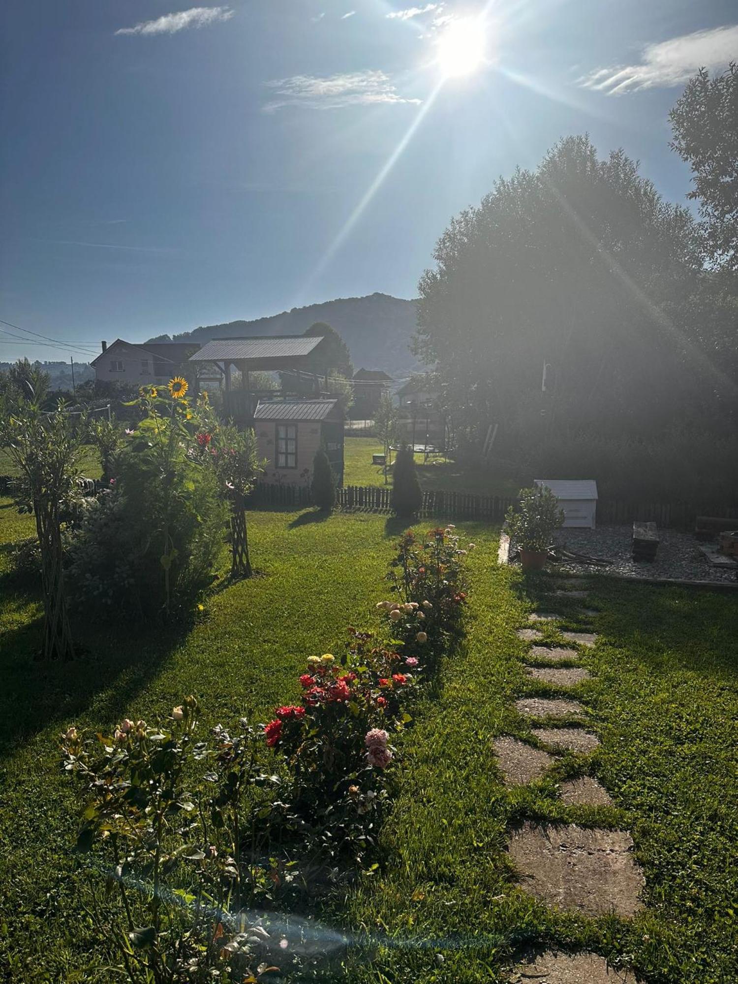 Curtea de Argeş Baltina Parc Transfagarasanヴィラ エクステリア 写真